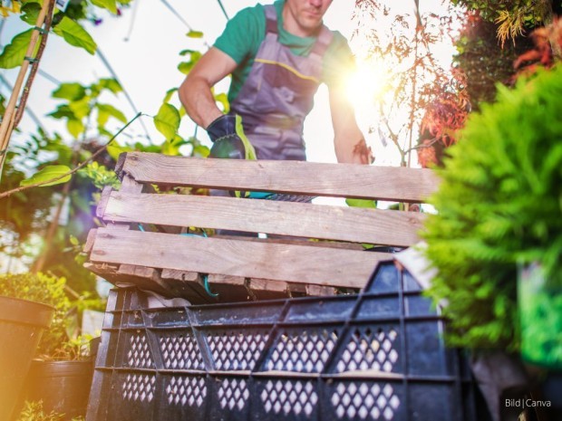Beitrag Frühjahrsarbeiten im Garten: So gelingt der perfekte Start ins Gartenjahr