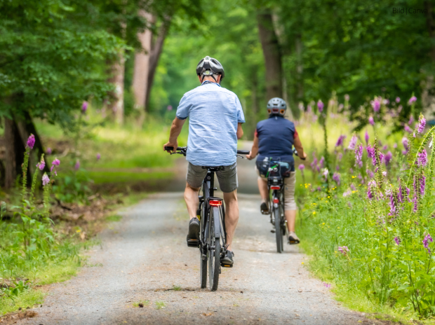 Beitrag Rund ums Rad – Sicher Radfahren
