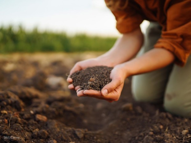 Beitrag Kompostieren – Die Grundlage für einen fruchtbaren Garten