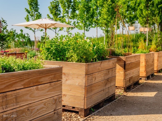 Beitrag Hochbeete selber bauen - Anleitung für Garten und Balkon
