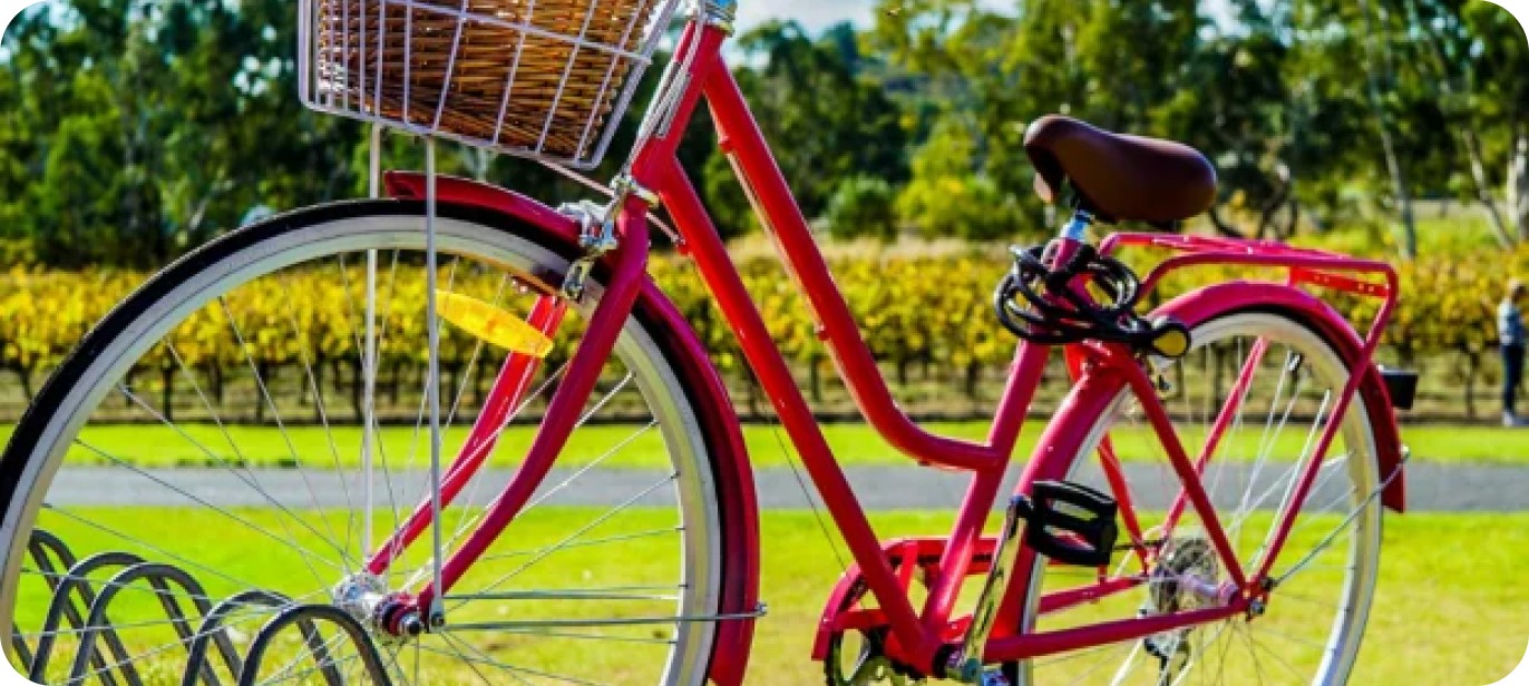 Online-Verbraucherberatung des DHB