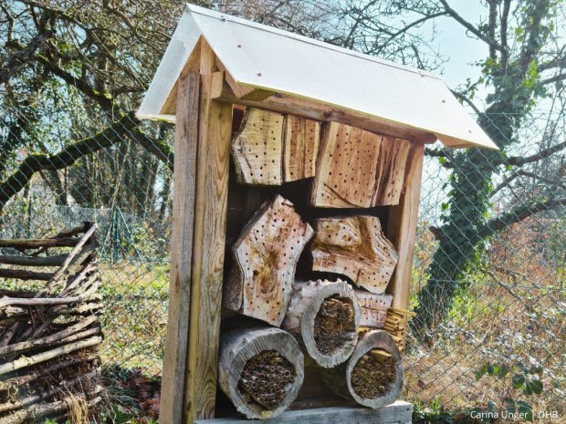 Beitrag Wildbienen-Nisthilfe bauen